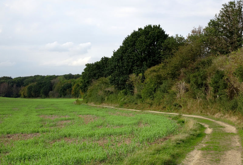 Ville Eifel Weg