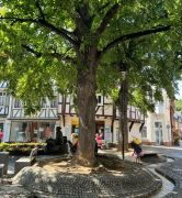 Bild_7_k Bild_7_k
