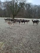 IMG-20230129-WA0000 IMG-20230129-WA0000