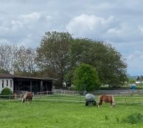 IMG-20230510-WA0001 IMG-20230510-WA0001