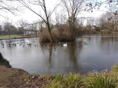 IMG-20250219-WA0020 IMG-20250219-WA0020