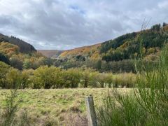 20251026_003 20251026_003