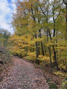 20251026_006 20251026_006