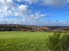 20251026_007 20251026_007