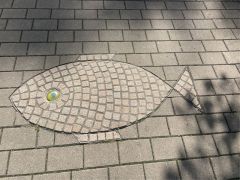 20250730_007 20250730_007