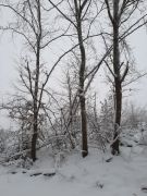 IMG-20230122-WA0002 IMG-20230122-WA0002
