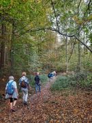IMG-20221030-Bild_9 IMG-20221030-Bild_9