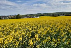 02IMG-20220424-WA0005