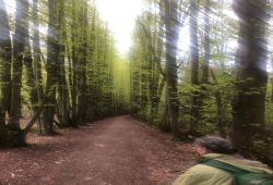 04IMG-20220424-WA0045